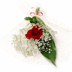 Rosa Roja Preparada con...