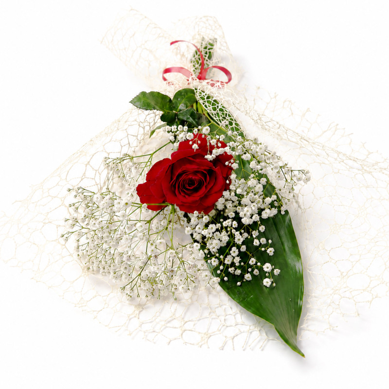 Rosa Roja Preparada con Paniculata