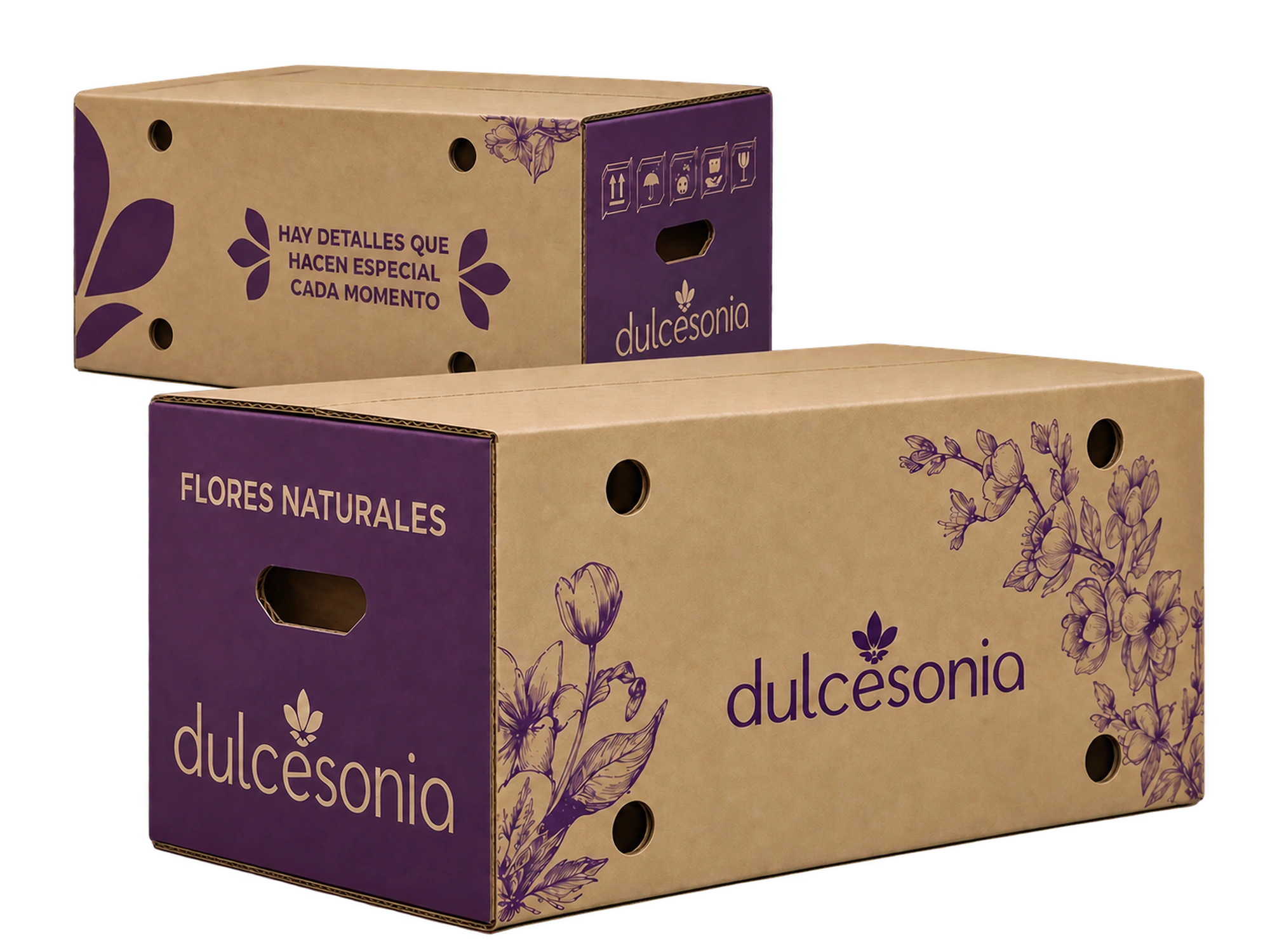Caja de cartón kraft de Dulcesonia impresa en violeta